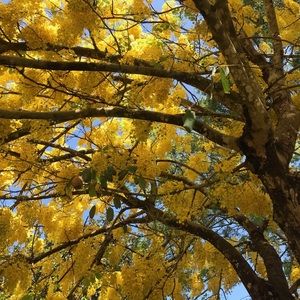 Meet your Posher, Sabrina